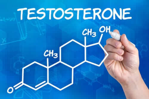 Testosterone and Shilajit