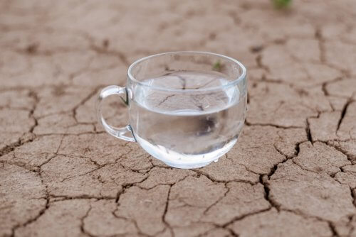 Dehydration and Impact on Your Health