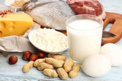 Sources of Protein for Overall Health