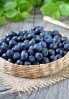 Fresh,Bilberry,In,A,Wicker,Basket,On,Wooden,Table,,Close